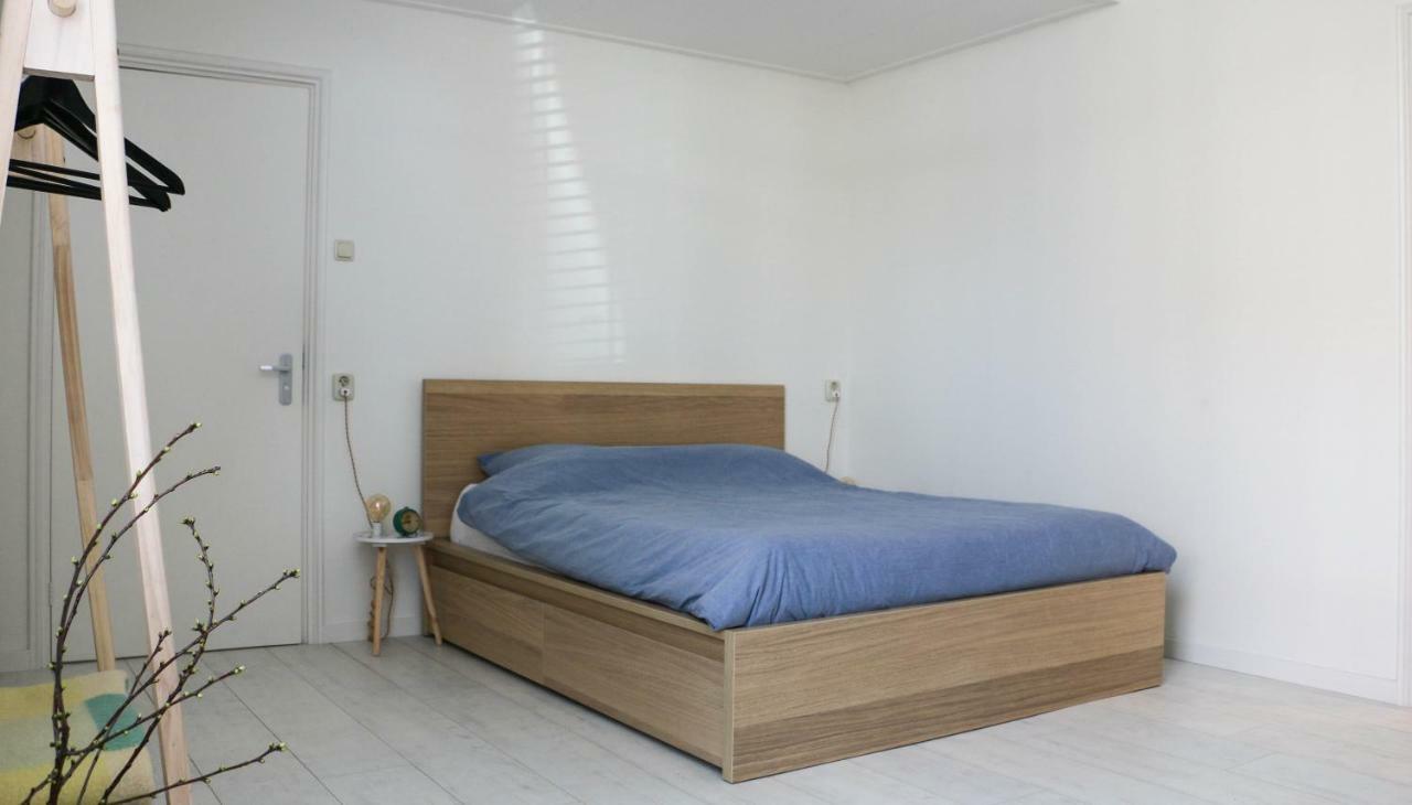 Logement Nij Bonga Holwerd Esterno foto